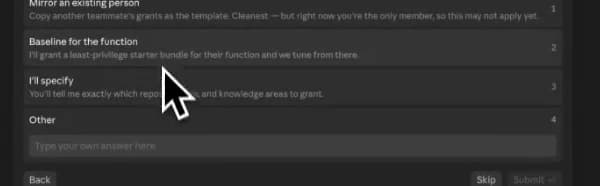 Cropped HQ access picker offering an existing-person mirror, functional baseline, explicit grants, or another choice.